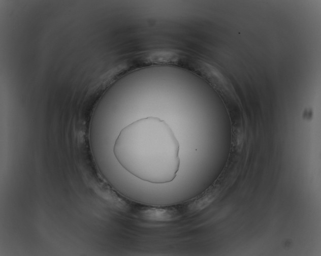 X0000092260326200710051324