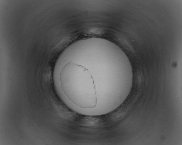 X0000092260328200710051324