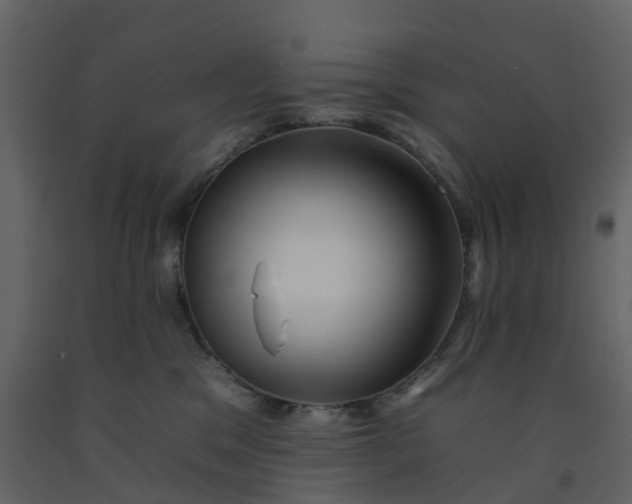 X0000092260329200710051324