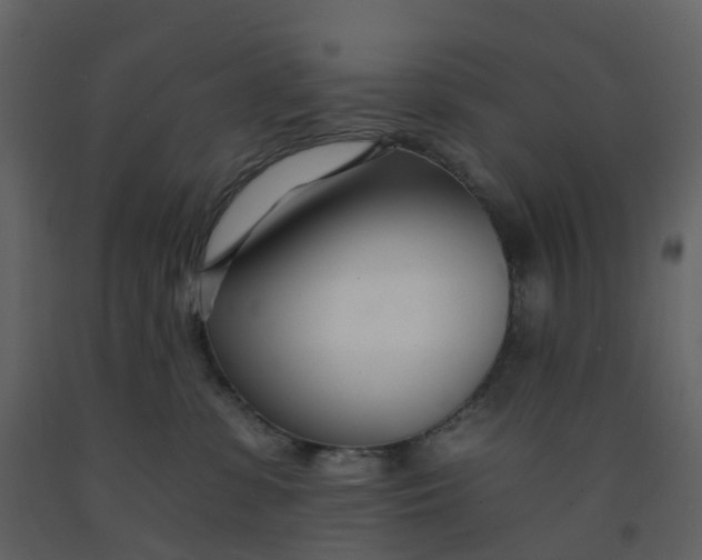 X0000092260331200710051324