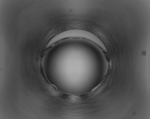 X0000092260333200710051324