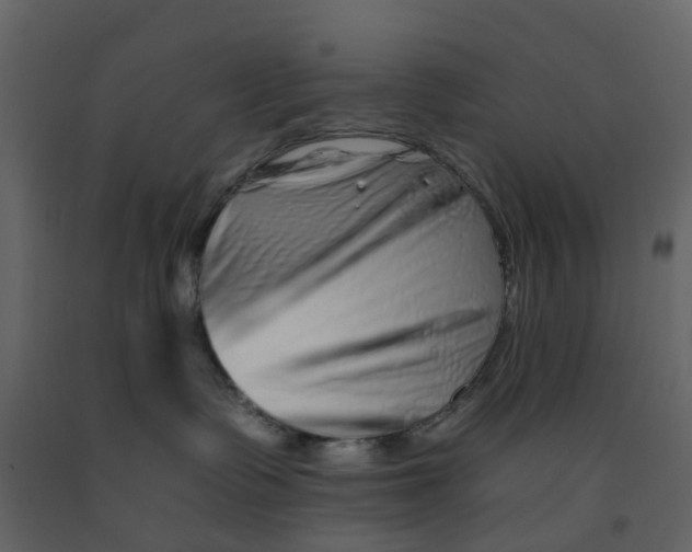 X0000092260335200710051324