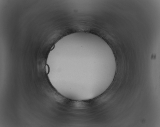 X0000092260336200710051324