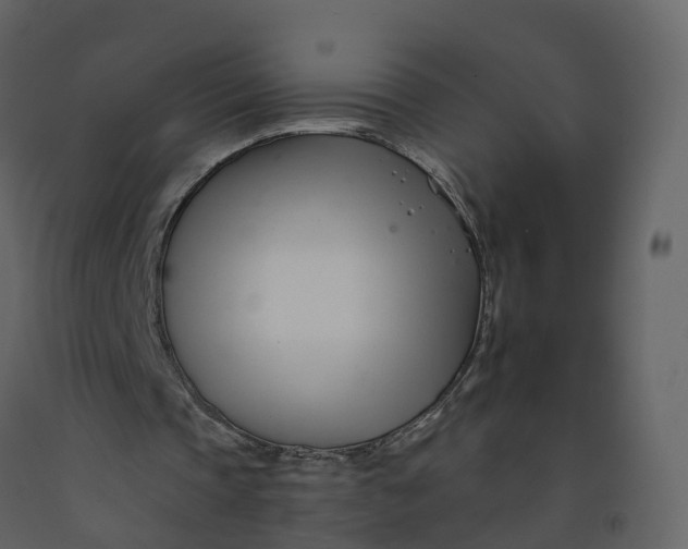 X0000092260337200710051323