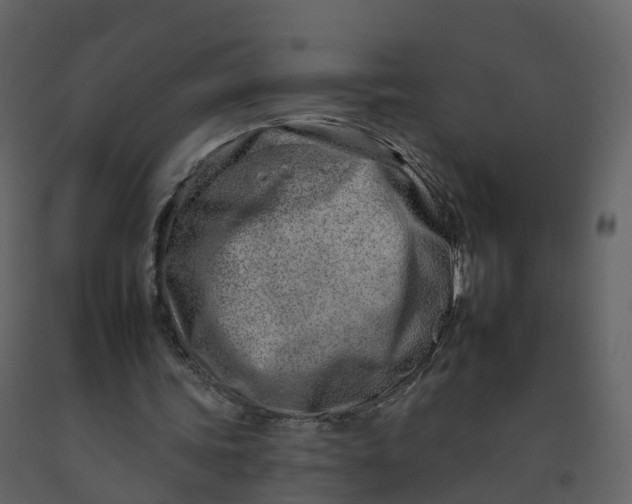 X0000092260339200710051323