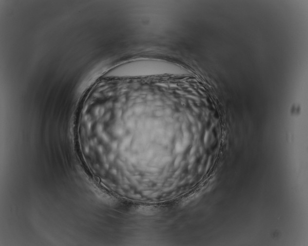 X0000092260341200710051323