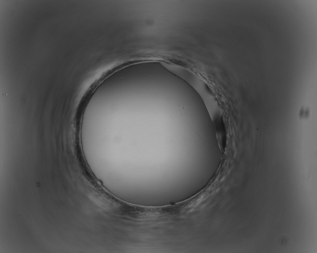 X0000092260342200710051323