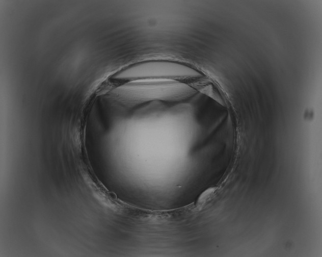 X0000092260345200710051323