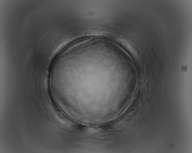 X0000092260346200710051323