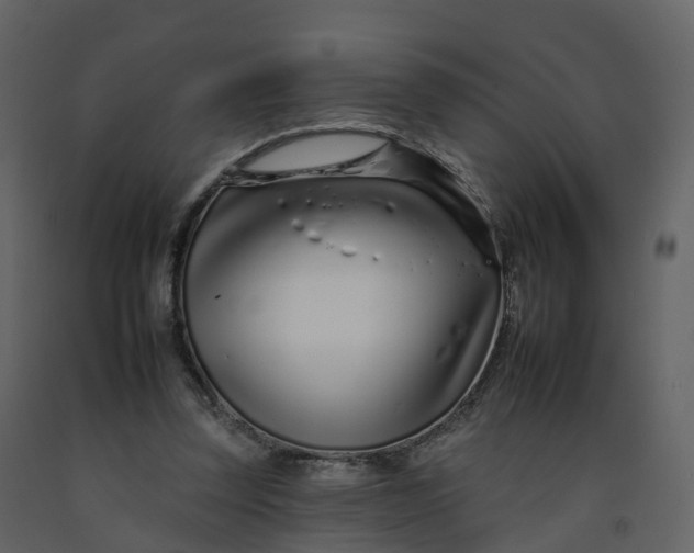 X0000092260347200710051323