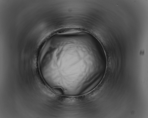 X0000092260351200710051324