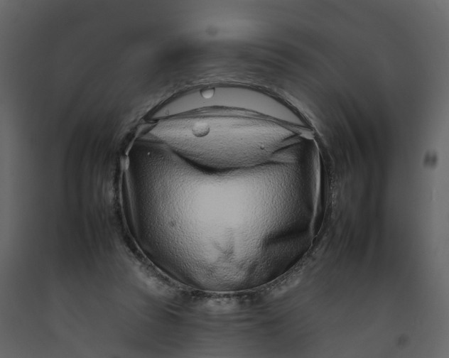 X0000092260353200710051324