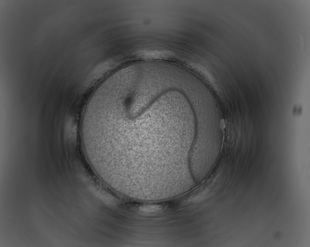 X0000092260357200710051324