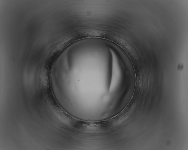 X0000092260359200710051324