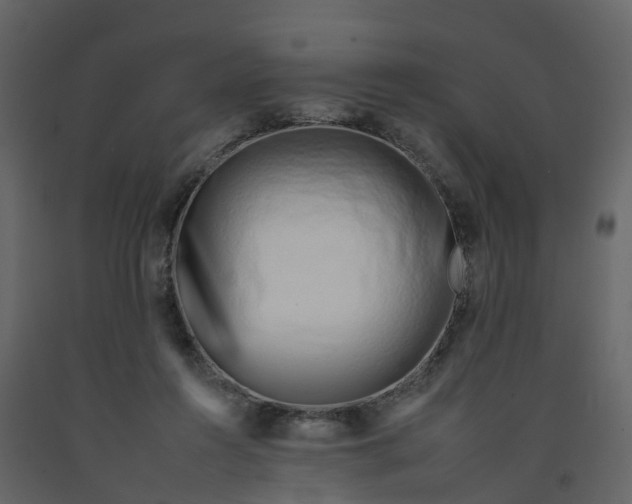 X0000092260360200710051324