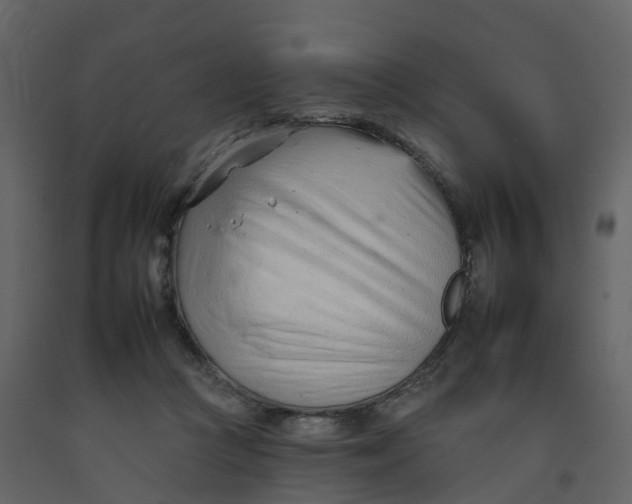 X0000092260361200710051324