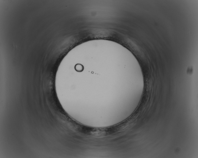 X0000092260362200710051324