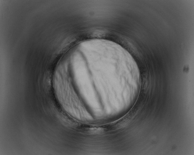 X0000092260363200710051324