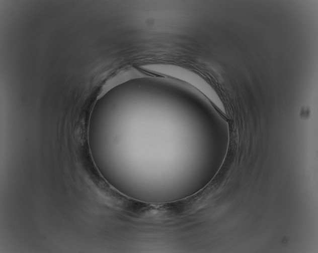 X0000092260364200710051324