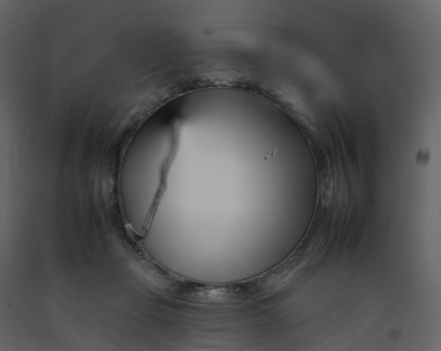 X0000092260365200710051324