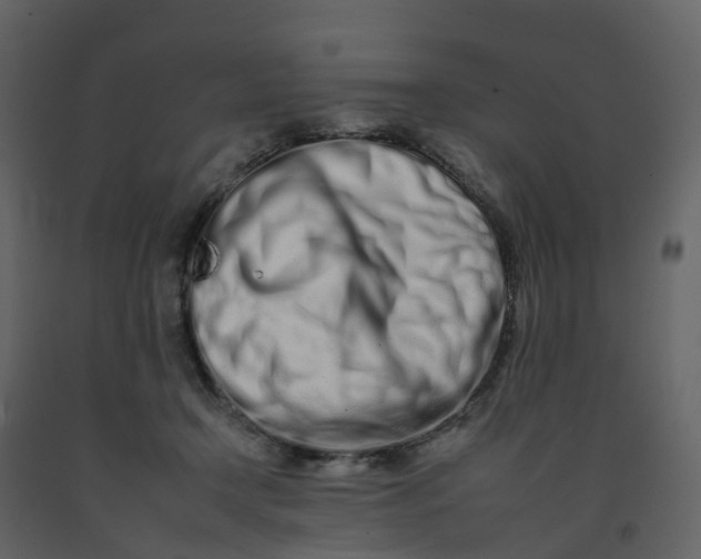 X0000092260366200710051324