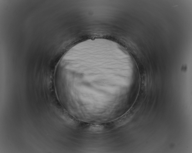 X0000092260369200710051324