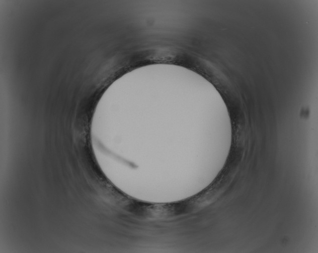 X0000092260370200710051324