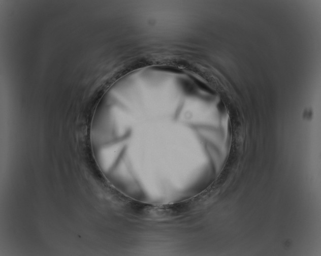 X0000092260372200710051324