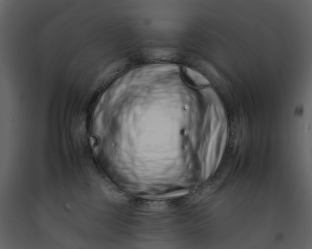 X0000092260377200710051324