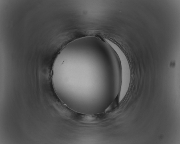 X0000092260380200710051324