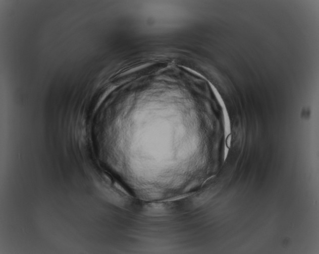 X0000092260381200710051324