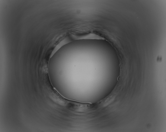 X0000092260384200710051324