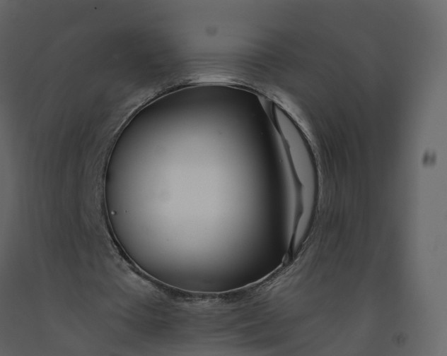 X0000092260385200710051323