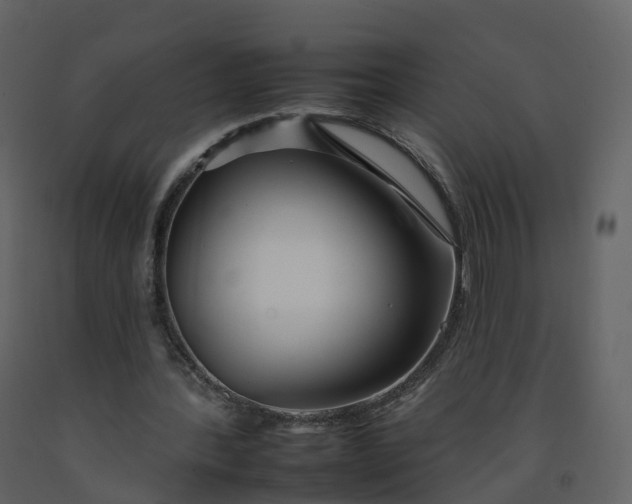 X0000092260388200710051323