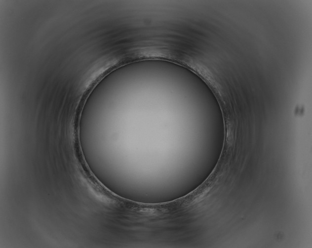 X0000092260390200710051323