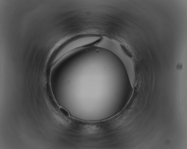 X0000092260392200710051323