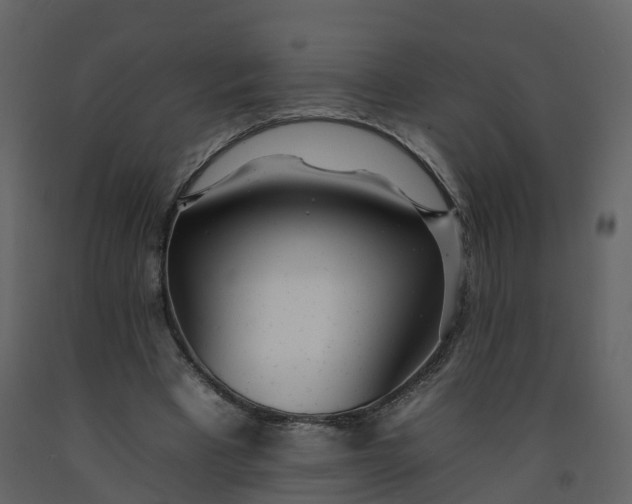 X0000092260393200710051323