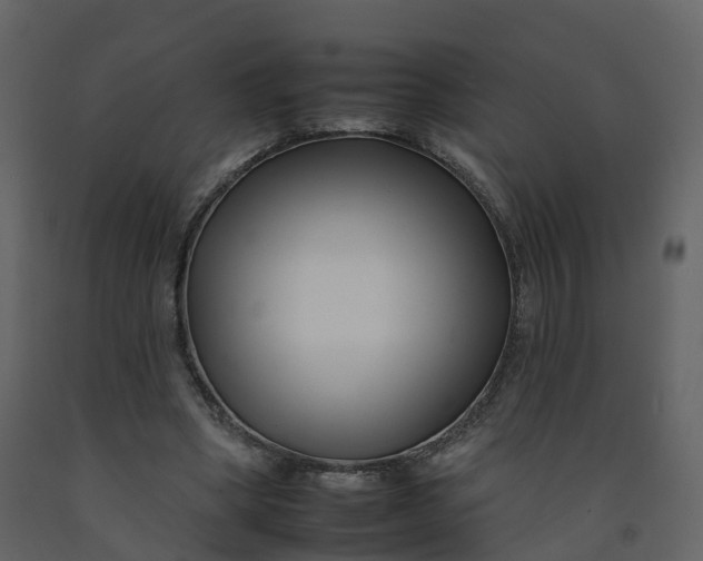 X0000092260394200710051323