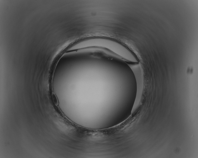 X0000092260395200710051323