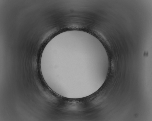 X0000092260396200710051323