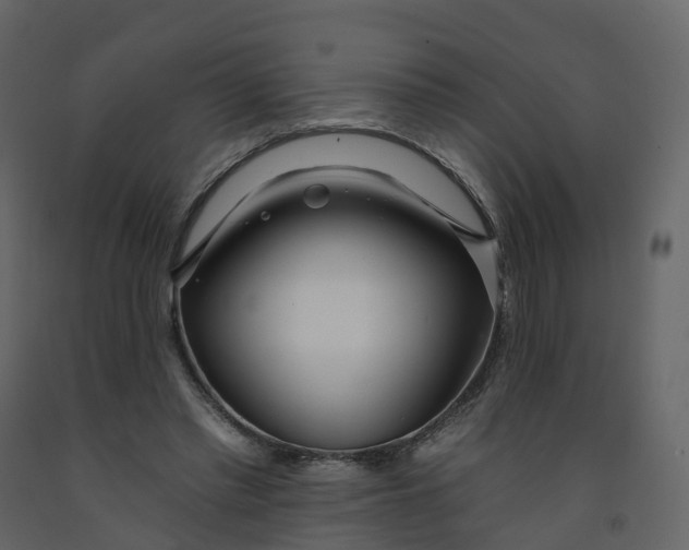 X0000092260397200710051323