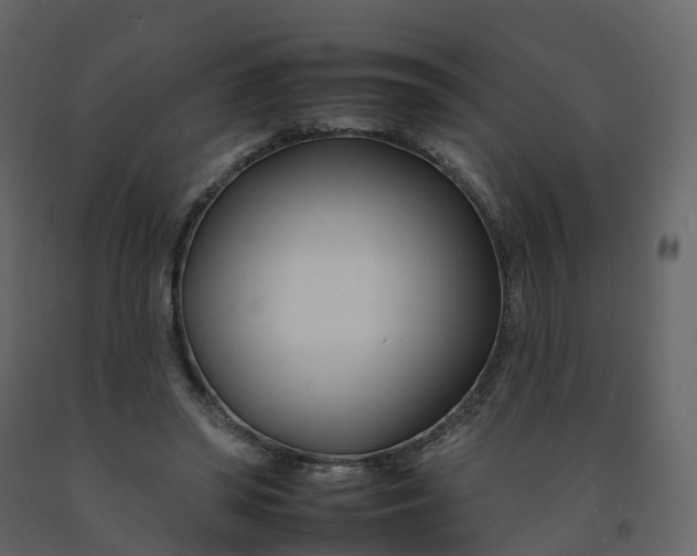 X0000092260398200710051323