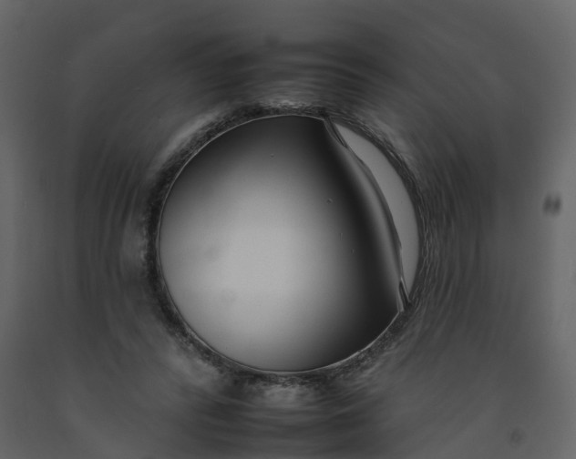 X0000092260400200710051323