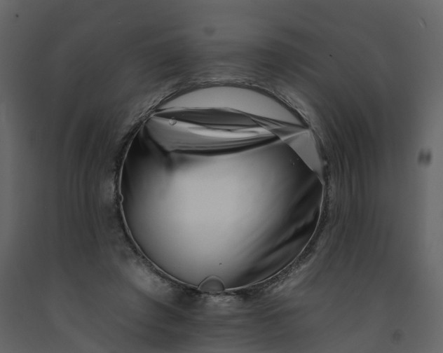 X0000092260401200710051323