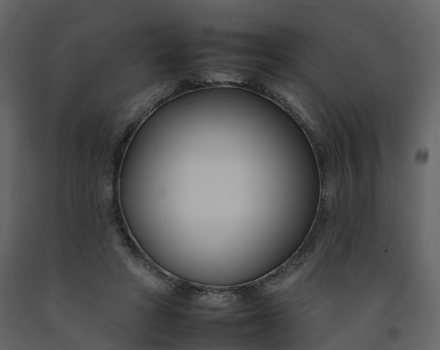 X0000092260402200710051323