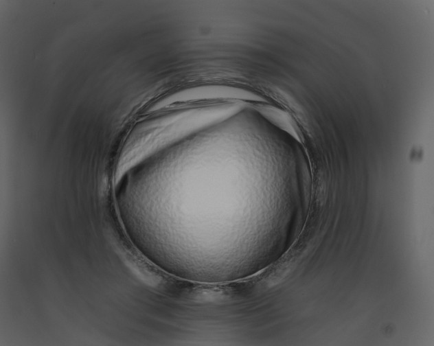 X0000092260405200710051323