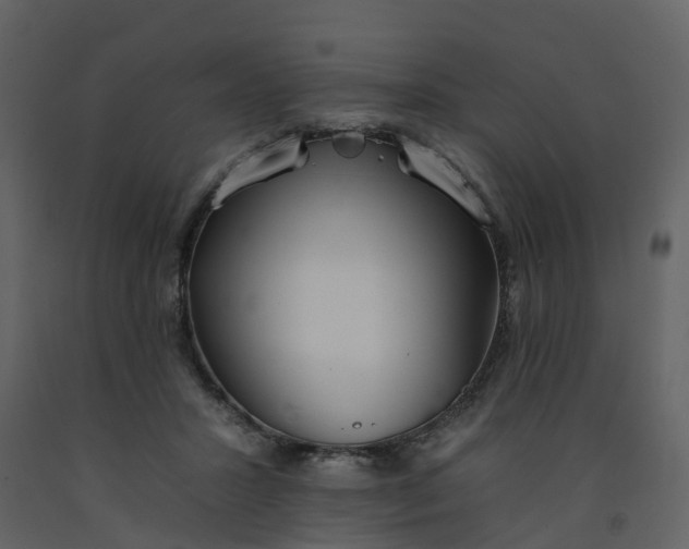 X0000092260407200710051323