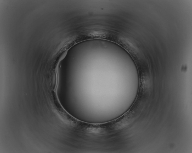 X0000092260408200710051323