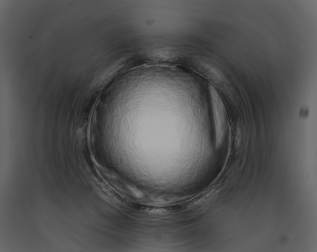 X0000092260409200710051323