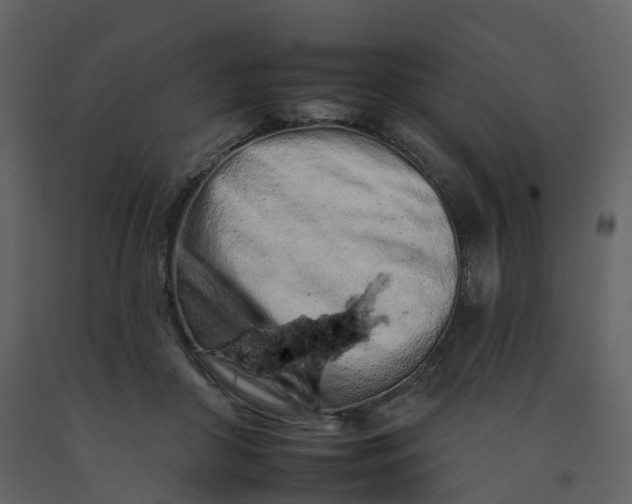 X0000092260410200710051323